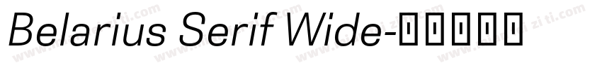 Belarius Serif Wide字体转换